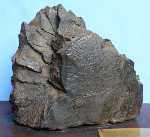 hms-rodney-shell-fragment-3